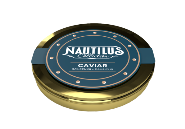 boite de caviar